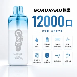 GOKURAKU 極樂 糖果一次性 12000口 13W恆定輸出 ICE冰感 智慧螢幕顯示