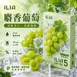 替換式煙彈｜ILIA 哩亞 Ultra5 五代通用煙彈｜2.0mL 蜂窩陶瓷芯 3.5%尼古丁 三入裝 麝香葡萄