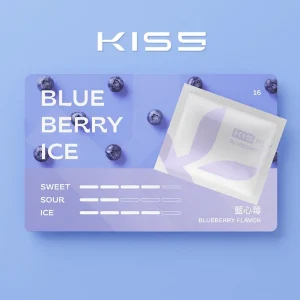 替換式煙彈｜KISS FLY 鎧斯 五代通用煙彈｜2.0mL 陶瓷芯 黑色霧面吸口 三入裝 藍心莓
